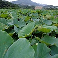 DSCF1897.JPG