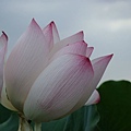 DSCF1904.JPG