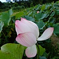 DSCF1906.JPG