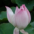 DSCF1916.JPG