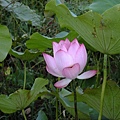 DSCF1918.JPG