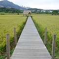 DSCF1936.JPG