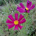 DSCF1968.JPG