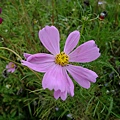 DSCF1970.JPG