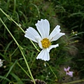 DSCF1972.JPG