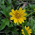 DSCF1983.JPG