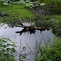 DSCF1988.JPG