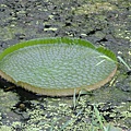 DSCF1991.JPG