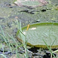 DSCF1997.JPG