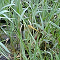 DSCF1999.JPG