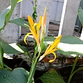 DSCF2917.JPG
