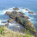 DSCF2860.JPG