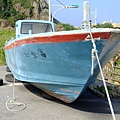 DSCF2896.JPG