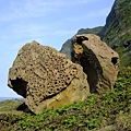 DSCF3056.JPG