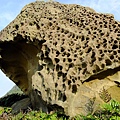 DSCF3060.JPG