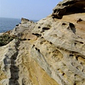 DSCF3061.JPG