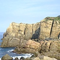 DSCF3077.JPG