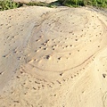 DSCF3095.JPG
