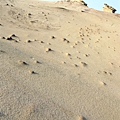 DSCF3097.JPG