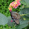 DSCF3642.JPG