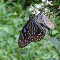 DSCF3688.JPG