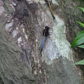 DSCF3695.JPG