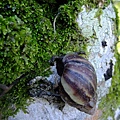DSCF4004.JPG