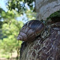 DSCF4007.JPG