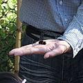 DSCF4010.JPG