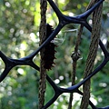 DSCF4012.JPG