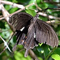 DSCF4048.JPG