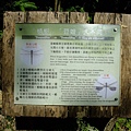 4a10df1375777.jpg