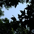 4a10df2a8db96.jpg