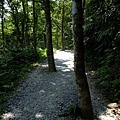 4a10df2f628cc.jpg