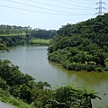 4a10df348cf85.jpg