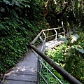 4a10de07c79d7.jpg