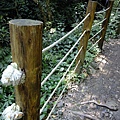 4a10de8a08bbf.jpg