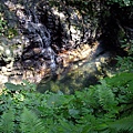4a10de016f506.jpg