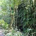 4a10de98e0521.jpg