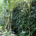 4a10de9293d04.jpg