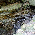 4a10de492770a.jpg