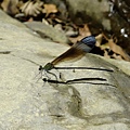 4a10dea672e70.jpg