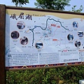 4a2cbce08be01.jpg