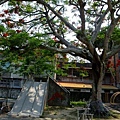 4a2cbce470f4f.jpg