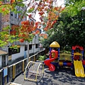 4a2cbce8d8bb6.jpg