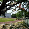 4a2cbcf1c3eb3.jpg