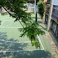 4a2cbcf616519.jpg