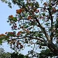 4a2cbd059e664.jpg