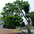 4a2cbd12147d3.jpg
