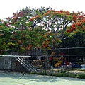 4a2cbd1b97628.jpg